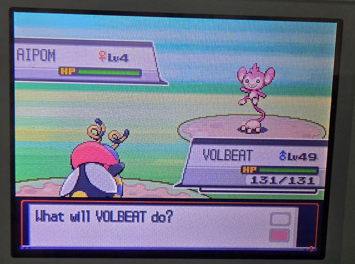 thedreadedshiny's tweet image. PHASE 3 for Heracross is over after just 930 headbutts, my 8th shiny in a row under odds! It's not my target, but this one is so cool! I'm just happy it's not another yellow bird. #ShinyPokemon #Hunting #Pokemon