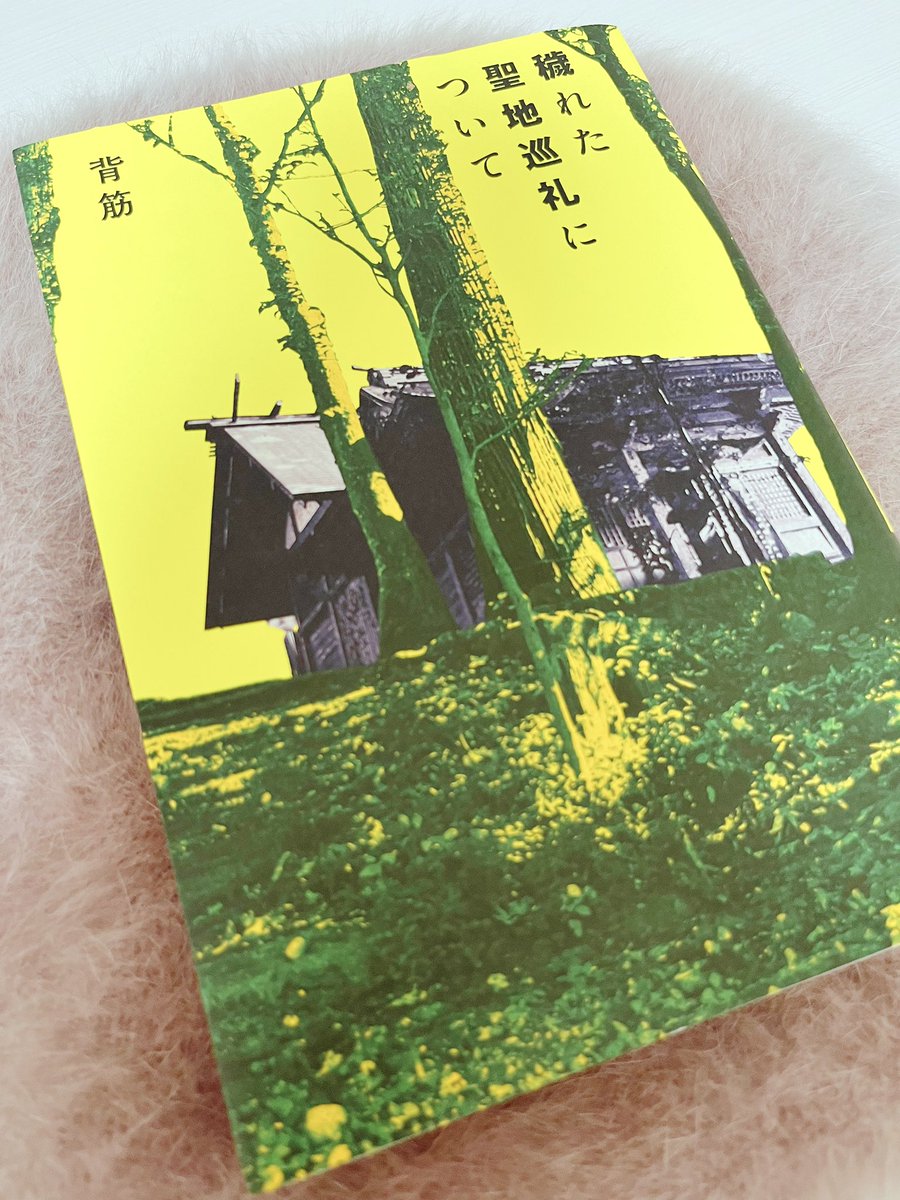『穢れた聖地巡礼について』　#読了

フリー編集者の小林と心霊スポット突撃系YouTuberの池田は、ファンブック刊行の企画を通すために視聴者が喜びそうな考察をでっちあげていく… 

でっちあげというキーワードが効いてるのとミステリ仕立ての話の進み方が前作よりも好みだった！