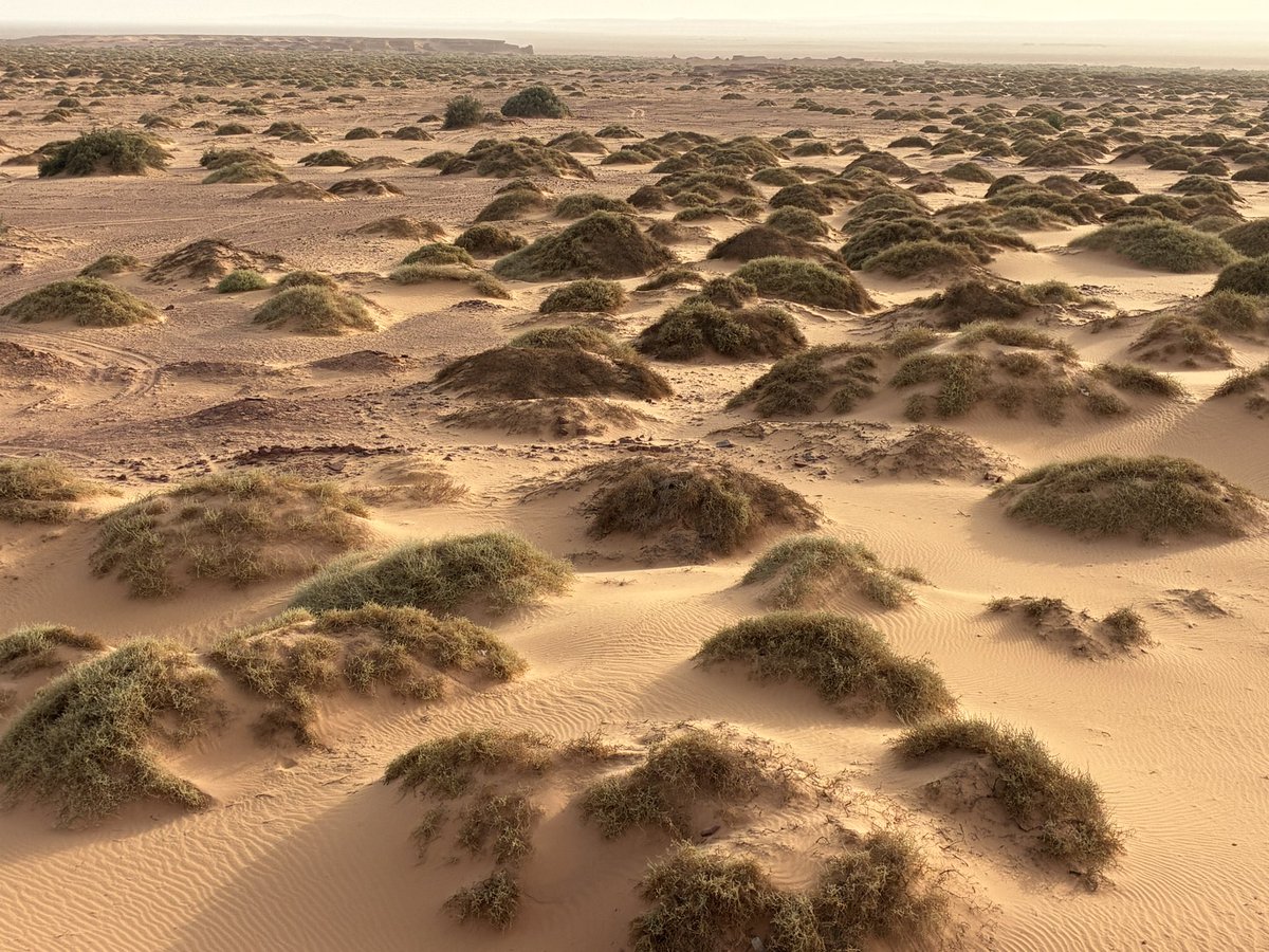 Chris Leadbeater tweet media