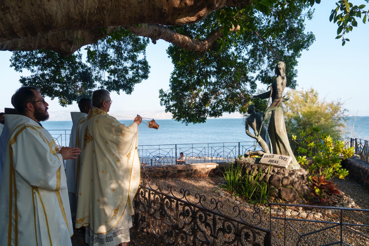 custodiaTS's tweet image. Tabgha, on the shores of mercy: where Peter was healed and the mission began again
Article: custodia.org/en/news/tabgha…
