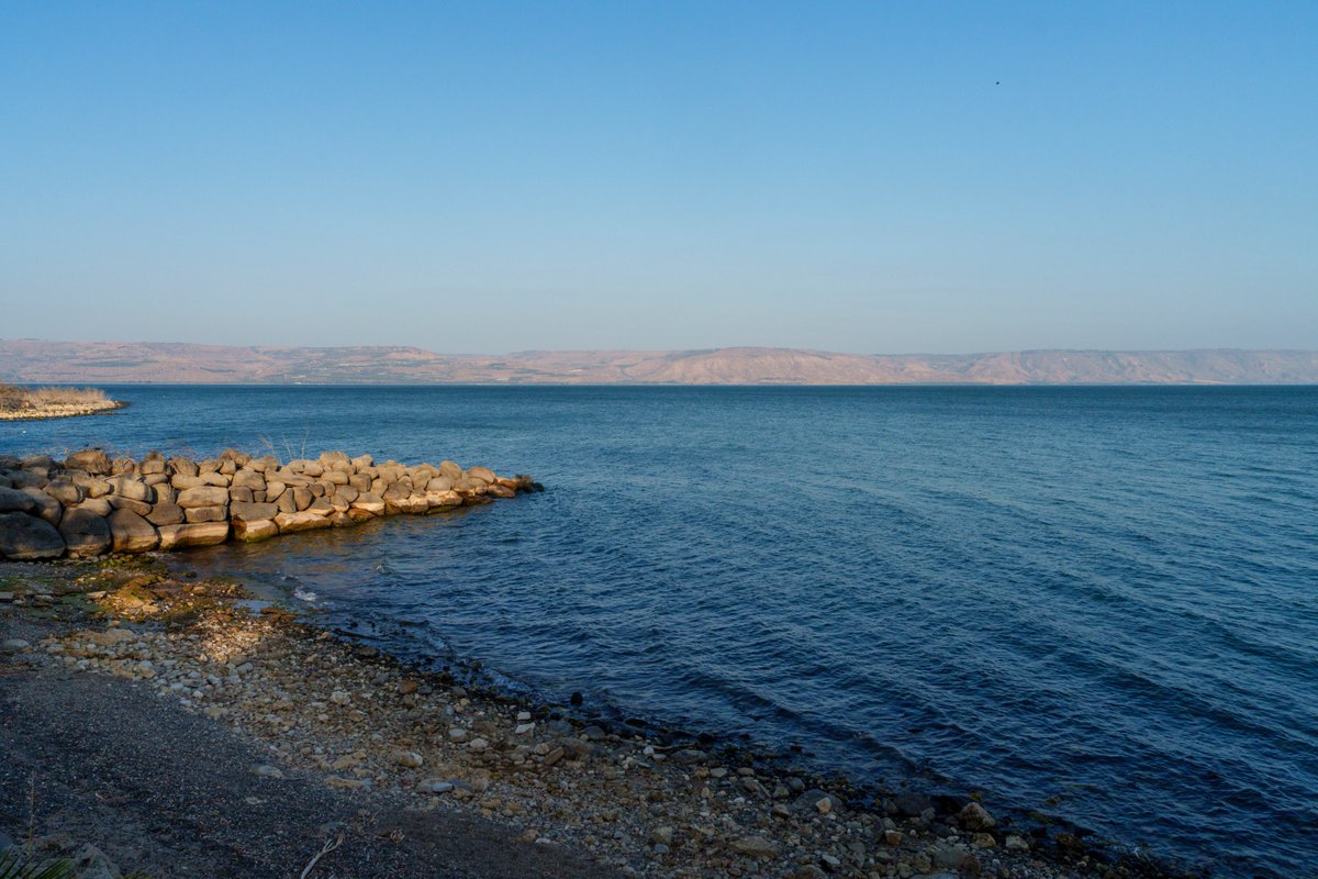 custodiaTS's tweet image. Tabgha, on the shores of mercy: where Peter was healed and the mission began again
Article: custodia.org/en/news/tabgha…