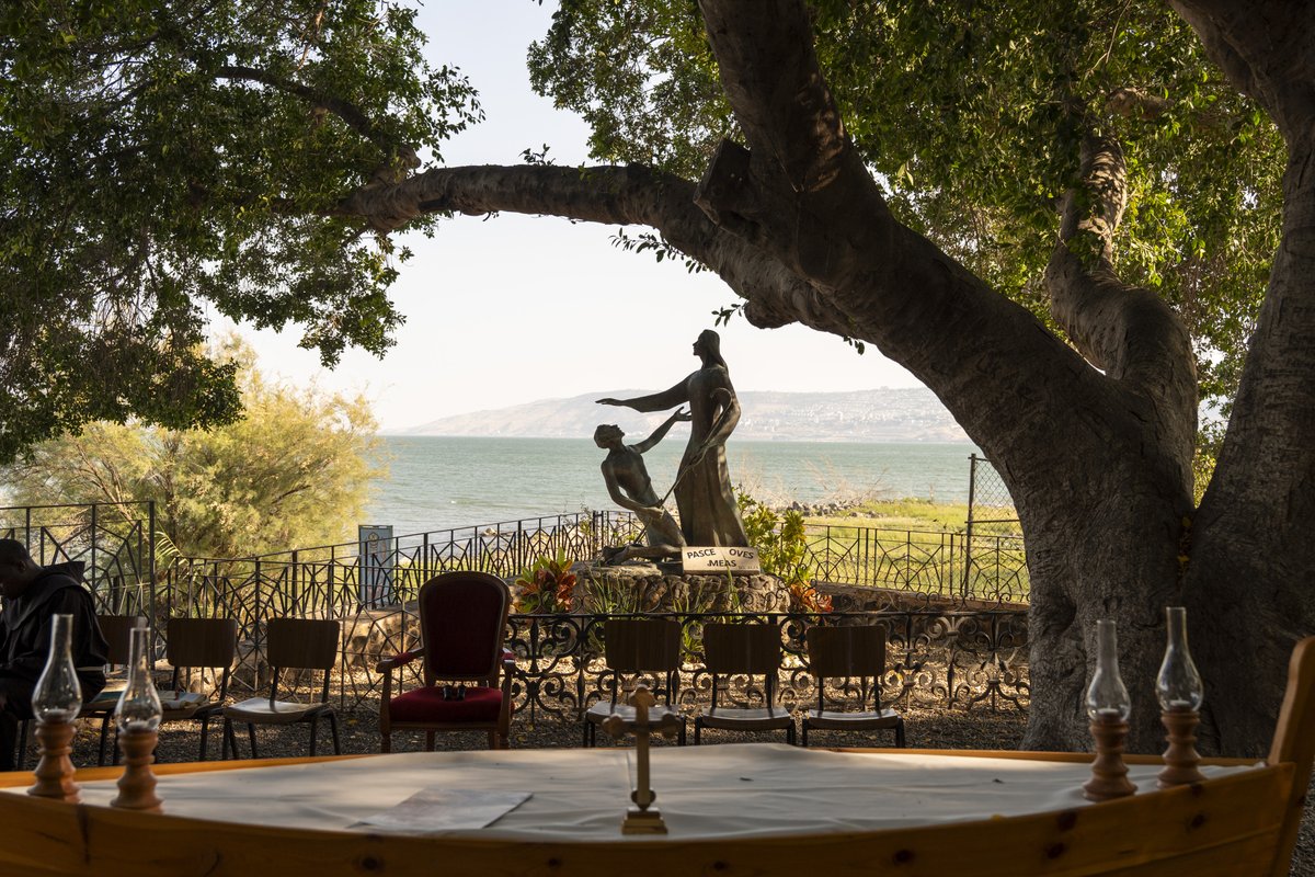 custodiaTS's tweet image. Tabgha, on the shores of mercy: where Peter was healed and the mission began again
Article: custodia.org/en/news/tabgha…
