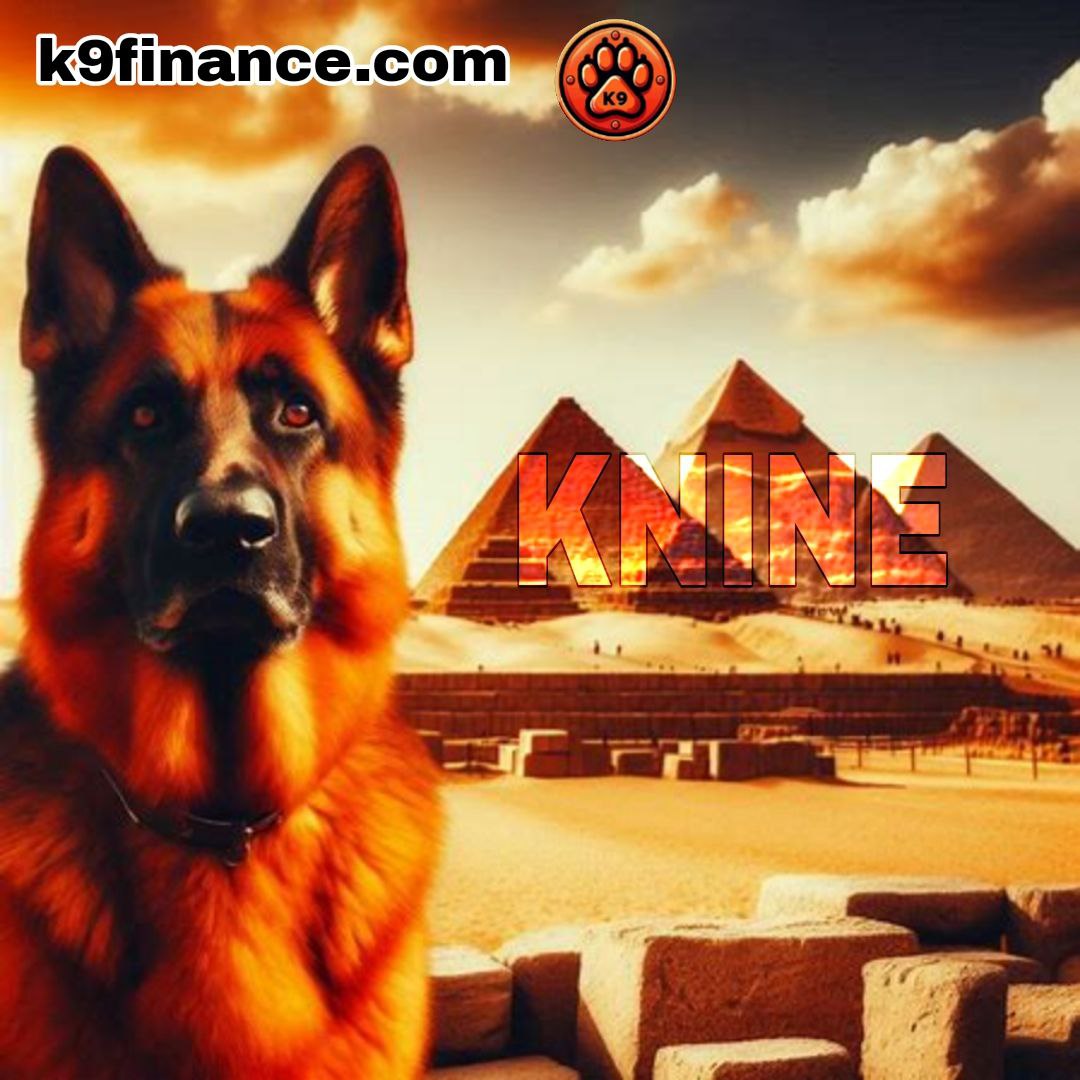 arashdelta⃤ tweet media