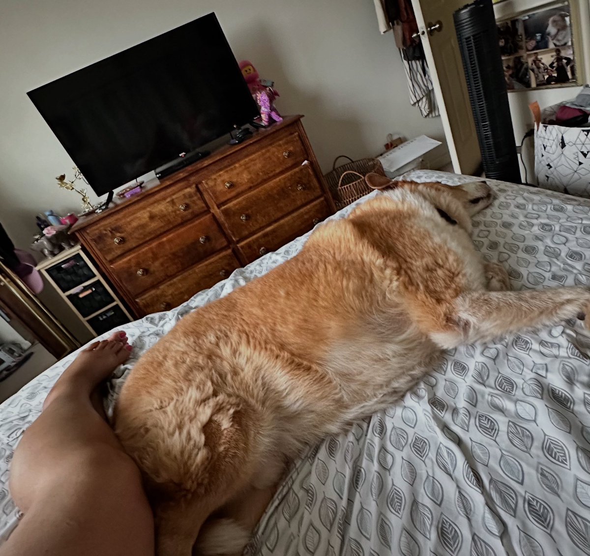 Taynibabols's tweet image. Yung palaging ako ang kailangang mag-adjust sa kahit anong klaseng relasyon 🙄  Buti na lang cute ka. 

#Rockyweekends
#Spoileddoggo 🐕