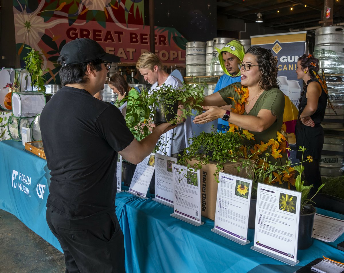 Florida Museum (@floridamuseum) on Twitter photo June 21 📌 Pollinator Palooza
Plant for pollinators! 🐝
Meet our Daniels Lab team at <a href="/fmbrewing/">First Magnitude</a> 🍺 to support pollinator #conservation, pick up a free plant, & enjoy music, beer & food.
Event: floridamuseum.ufl.edu/event/pollinat…
Learn about FL plants & wildflowers with our researchers! June 21 📌 Pollinator Palooza
Plant for pollinators! 🐝
Meet our Daniels Lab team at <a href="/fmbrewing/">First Magnitude</a> 🍺 to support pollinator #conservation, pick up a free plant, & enjoy music, beer & food.
Event: floridamuseum.ufl.edu/event/pollinat…
Learn about FL plants & wildflowers with our researchers!