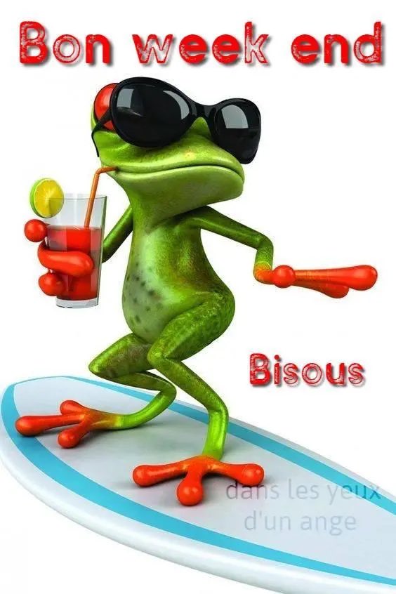 Bon ici c’est toujours la fête à la grenouille 🐸 en plus il fait froid 14 degrés un 7 juin 
Bisous et bonne journée, on garde le sourire 😀