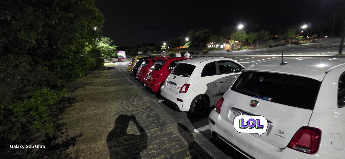 TreeLiu123's tweet photo. #AlfaRomeo
#GLIO
と
#アバルト
達 https://t.co/9CNyyHoDVM