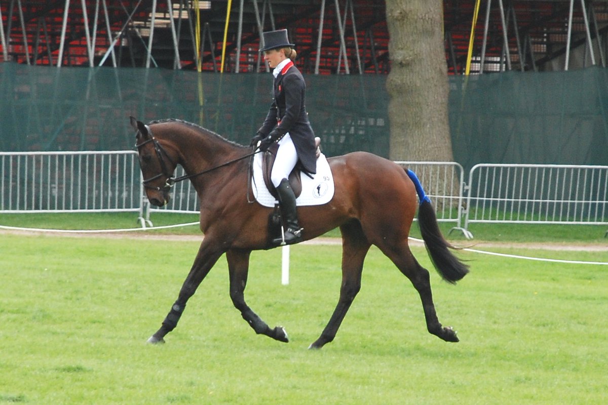 Ninth and final edition of Miners Frolic sold at <a href="/bhorsetrials/">Badminton Horse Trials</a> in May
sarahcoward.co.uk/portfolio/mine…