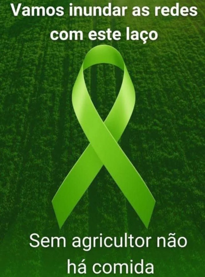 Democracia Viva🗯️ (@democraciabr_ja) on Twitter photo 