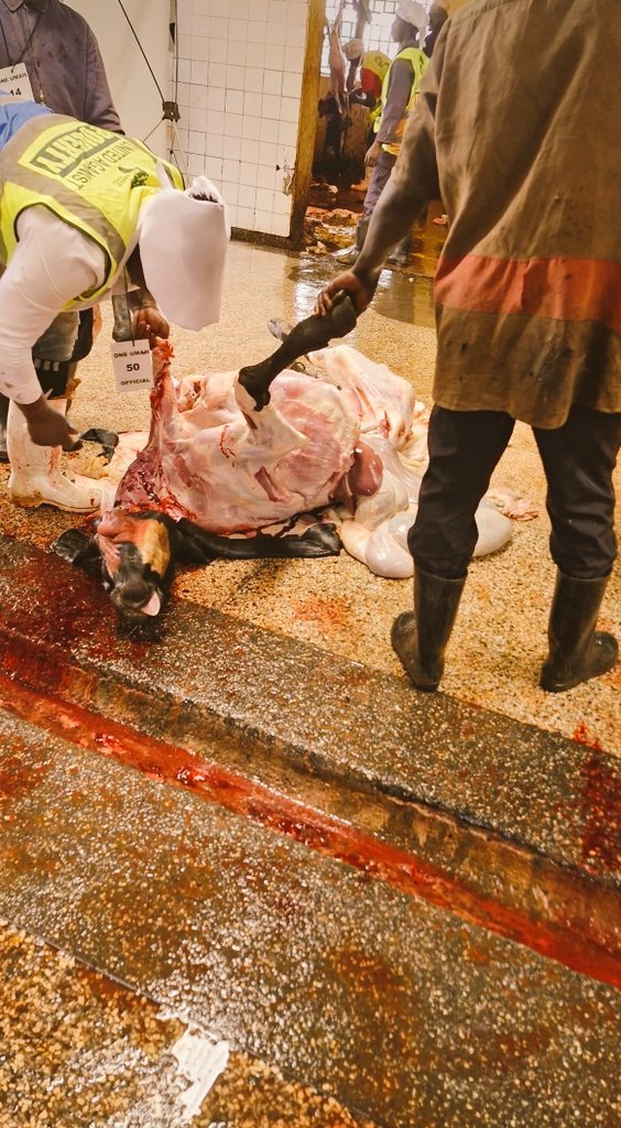 DambaIbrahim2's tweet photo. In obedience to Allah's call, yesterday we joined the Muslim fraternity in Slaughtering animals for the sake of Allah and share the meat with those in need. May Allah accept our sacrifices we did in kasangati
#dambafoundation https://t.co/229b0lVQi4