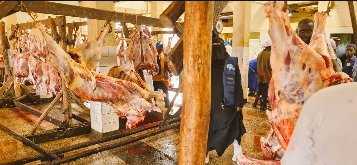 DambaIbrahim2's tweet photo. In obedience to Allah's call, yesterday we joined the Muslim fraternity in Slaughtering animals for the sake of Allah and share the meat with those in need. May Allah accept our sacrifices we did in kasangati
#dambafoundation https://t.co/229b0lVQi4