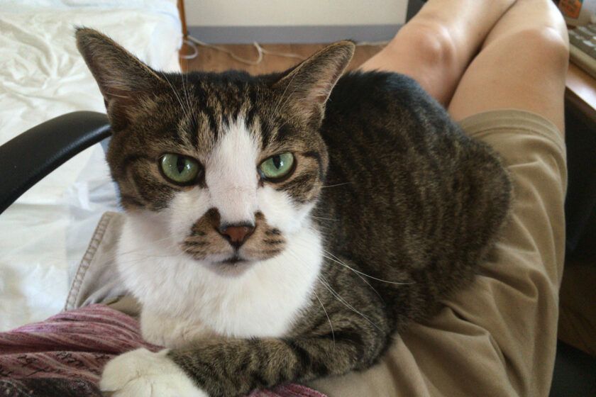 なるみ tweet media