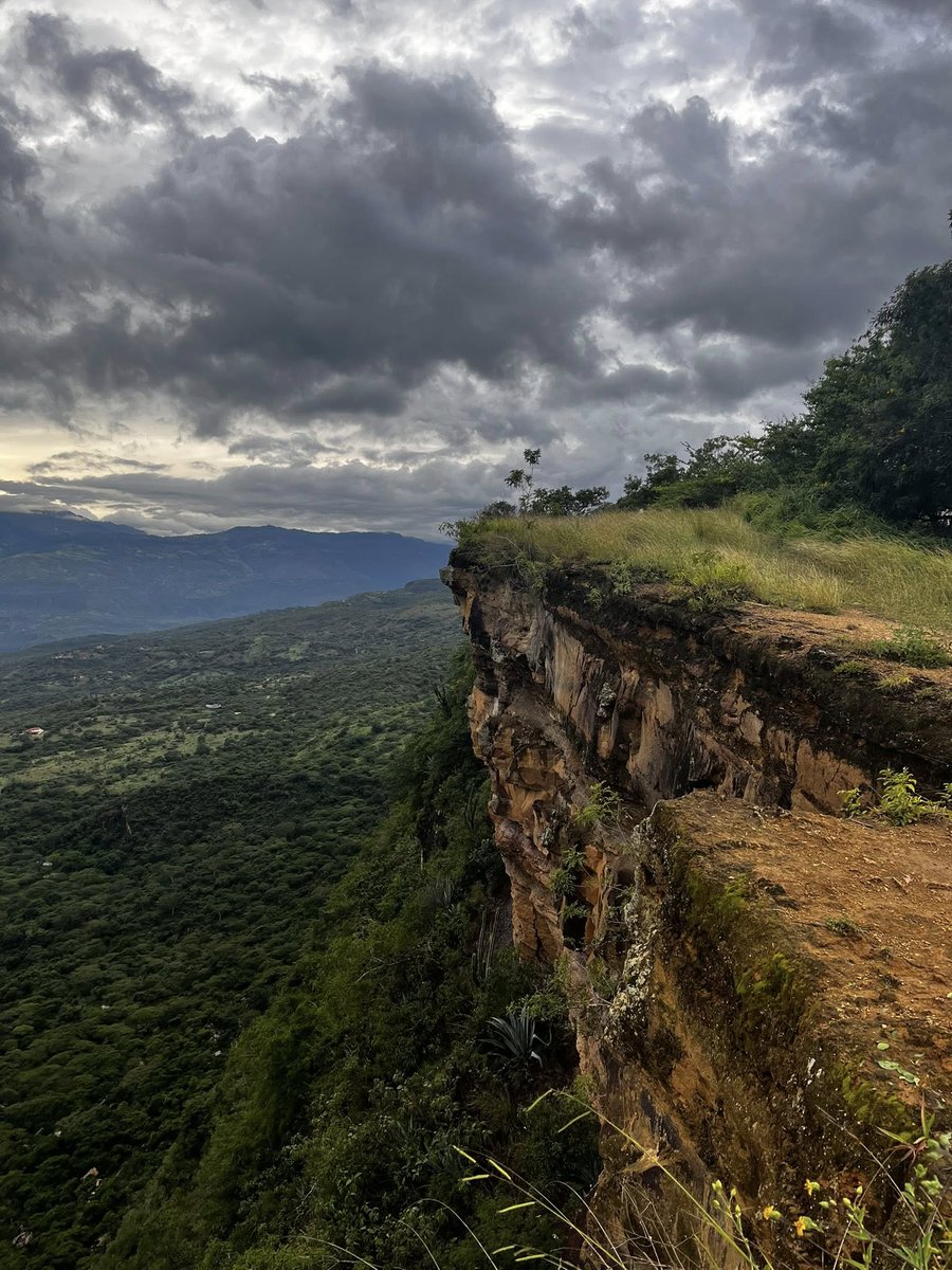 Who am I in this rapidly changing world? I have to go out into the world to find out.

I am the man who restores health to rivers -- like the one that flowed so beautifully during the heavy rains yesterday in the forest behind my house.

I am the man who seeks guidance by