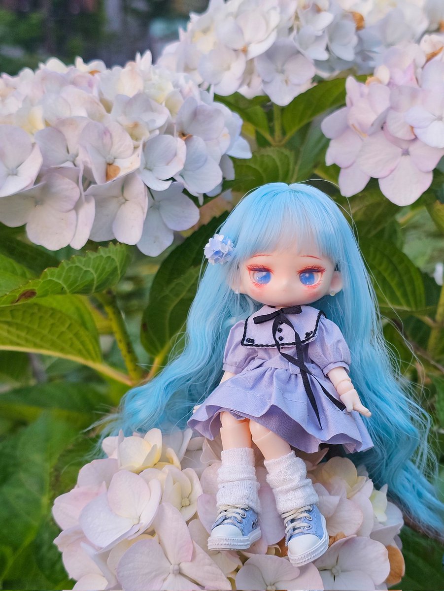 수국 조아🦋🩵
#미니푸딩 #종이집 #킷어팻