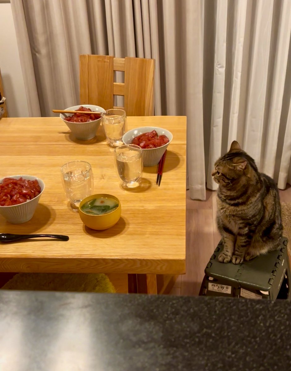 1番最初に席についてお行儀よく待ってる🤭