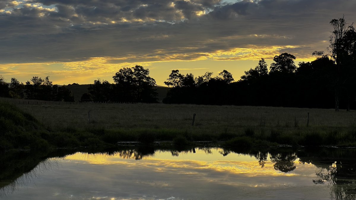 midge_thomas's tweet image. Same view evening and morning.