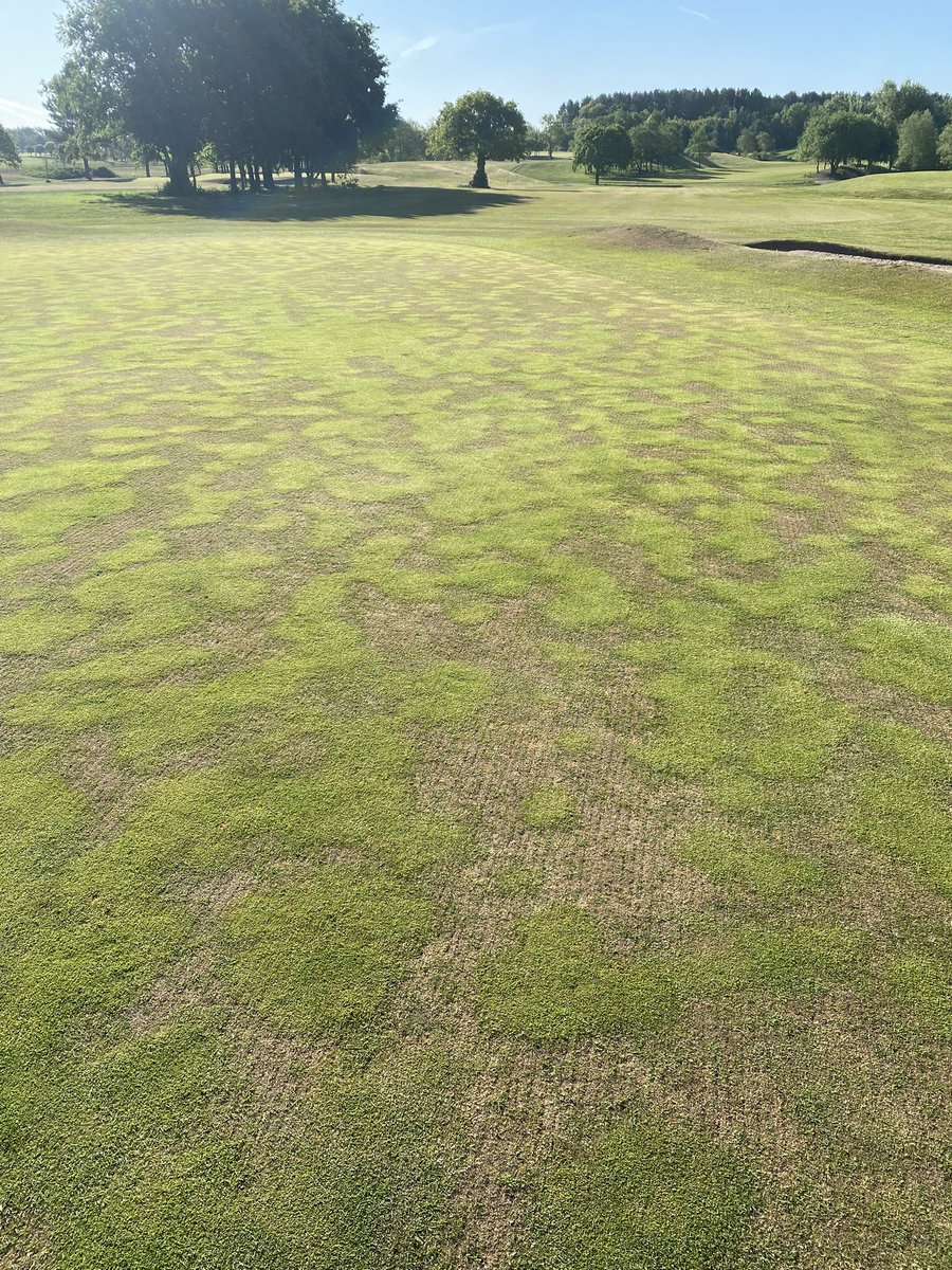 Michael Russell tweet media