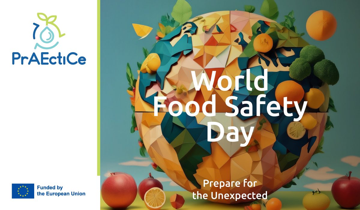 🌍 World Food Safety Day! 

Today, we celebrate safer, healthier food systems that reduces chemical inputs and boost food safety from the ground up.

Safe food starts with sustainable practices. Let’s keep the cycle strong! 

#foodsafetyday #Agroecology