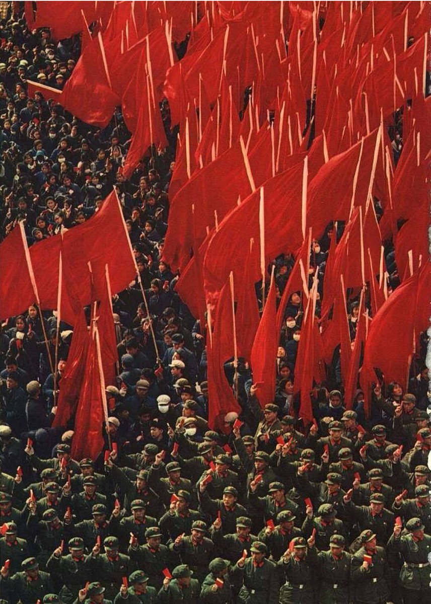 Lei Feng (@dhfzvbj11050) on Twitter photo 