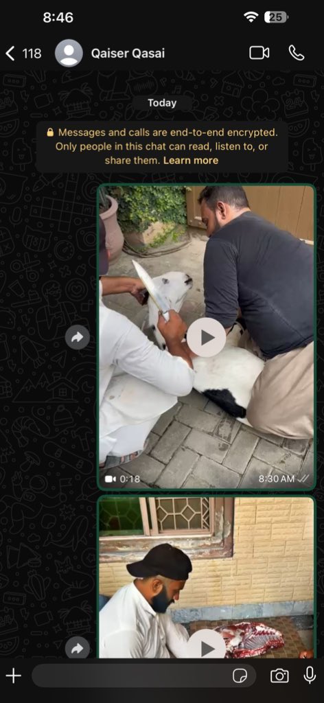 Literally no one ; but our QASAI asking me to make his videos constantly so he can Upload Tiktoks 🔪😭
#EidAlAdha