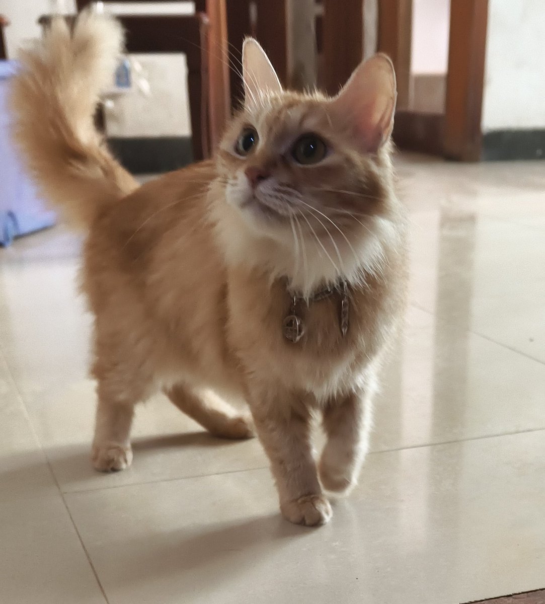 JCZ5810290802's tweet photo. 我给我家孩子们带lovesea手链
可爱死了🥰🥰🥰
@fort_fts @peatwasu
#LoveSea #FortPeat #BabyFeat https://t.co/yCb3lAp16n