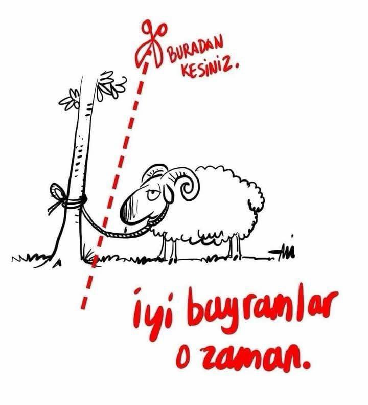 Ebru Par (@despinamen) on Twitter photo 