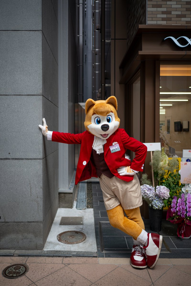 hukene_rizu's tweet image. 実は…覗かせて頂きました…😶‍🌫️