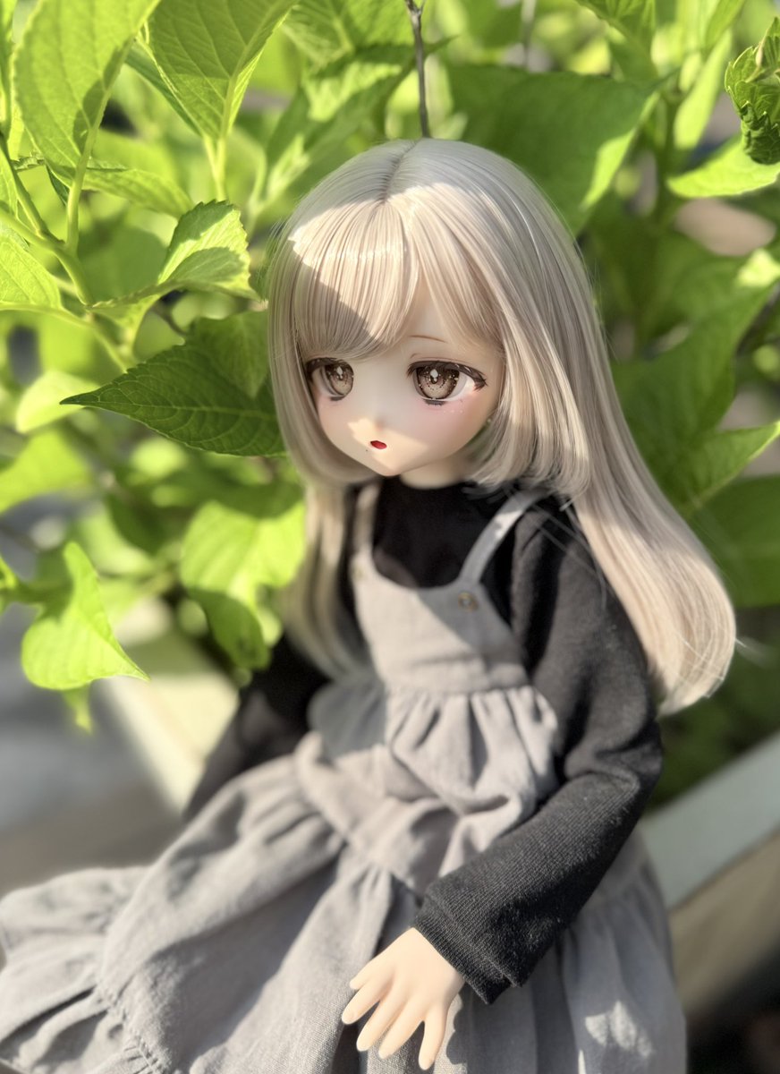 urarakadoll's tweet image. お迎えのご報告˖ ࣪⋆
この度素敵なご縁をいただき、とっても可愛い #おぺちゃんこ をお迎えしました
お名前は栞ちゃんです🔖これからよろしくね🤍ྀི
新前ドールオーナーなので至らないことも多いかとは思いますが、ぜひ仲良くしていただけると嬉しいです( ᴗ͈ˬᴗ͈ ) 
#ドールオーナーさんと繋がりたい