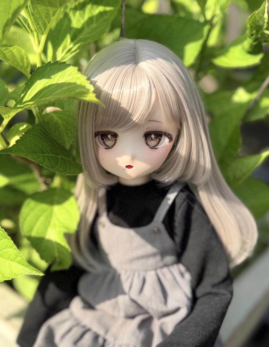 urarakadoll's tweet image. お迎えのご報告˖ ࣪⋆
この度素敵なご縁をいただき、とっても可愛い #おぺちゃんこ をお迎えしました
お名前は栞ちゃんです🔖これからよろしくね🤍ྀི
新前ドールオーナーなので至らないことも多いかとは思いますが、ぜひ仲良くしていただけると嬉しいです( ᴗ͈ˬᴗ͈ ) 
#ドールオーナーさんと繋がりたい