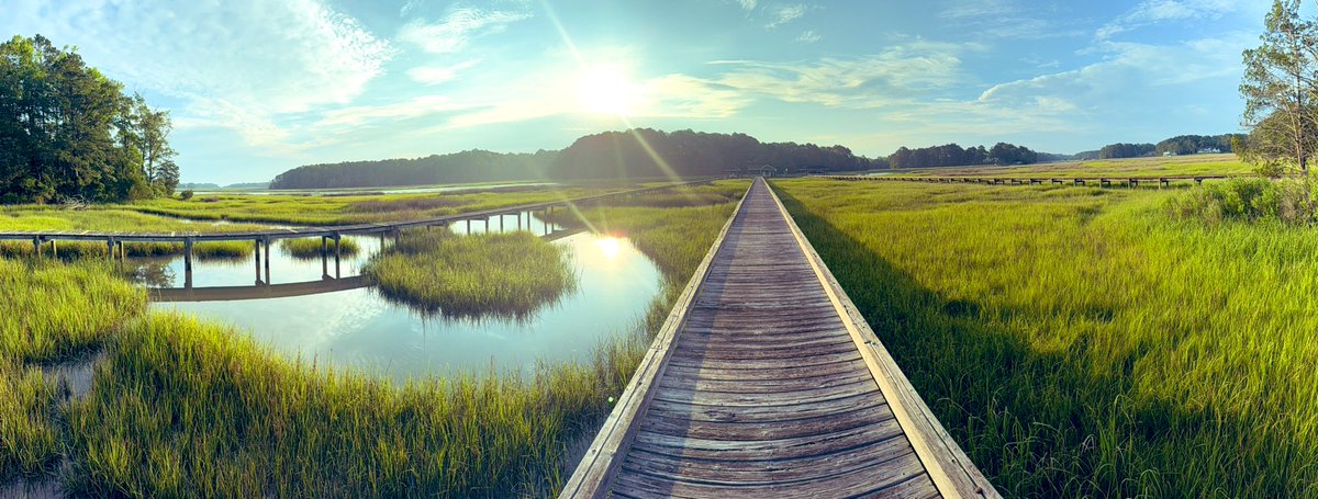 Good morning from 
Salty Virginia Coastline 

Make it an Epic weekend &amp; enjoy the nature.

Our America is beautiful🇺🇸❤️🇺🇸