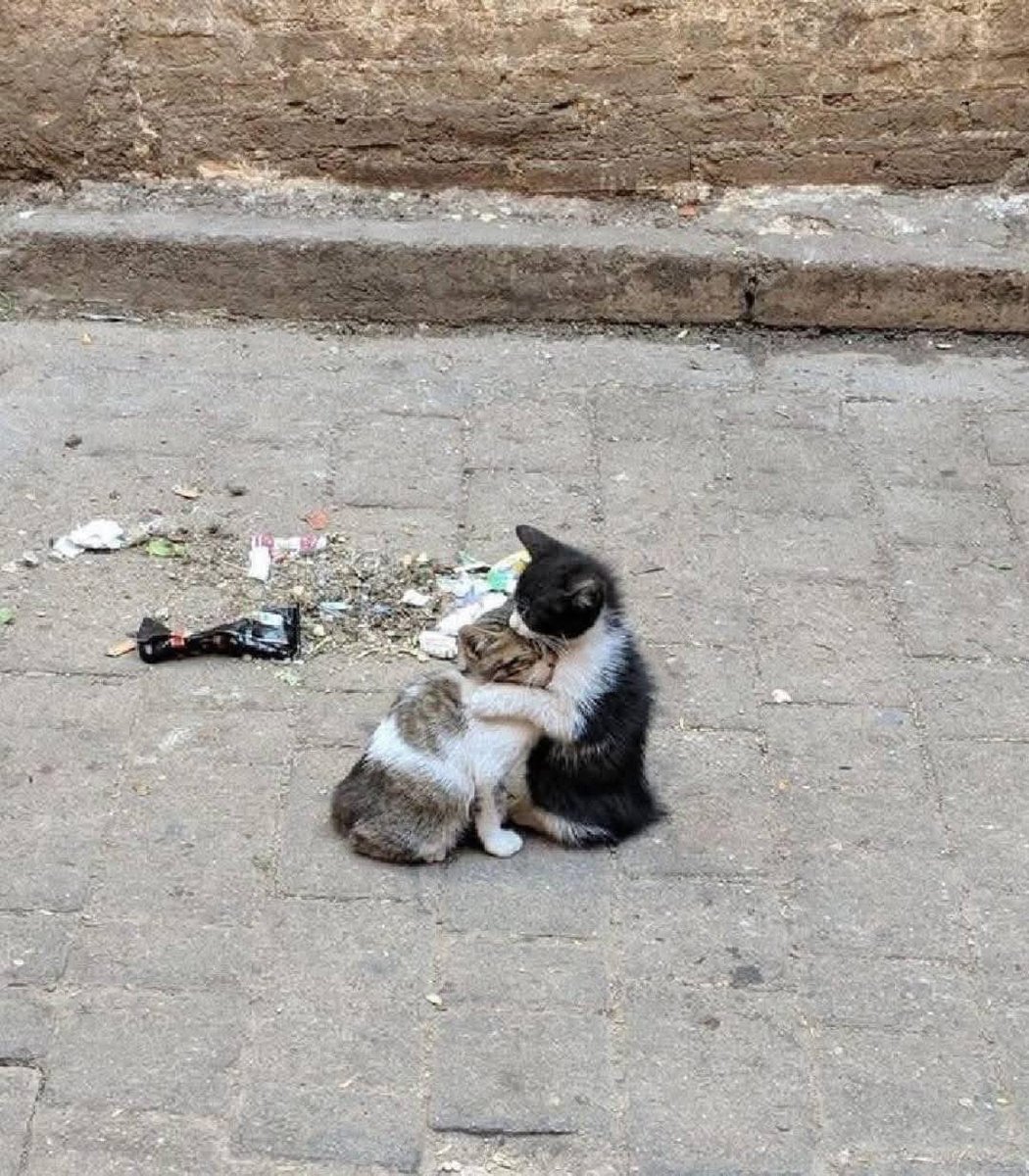 أطيب حاجة شوفتها ف حياتي 💘