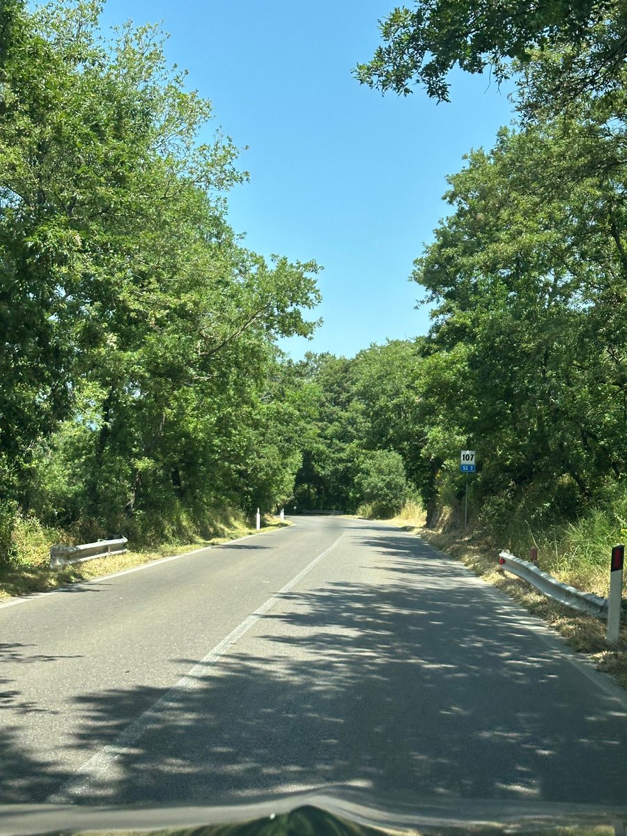 Ringrazio di cuore a nome di tutta la comunità di Bolsena il Sottosegretario <a href="/tullio_ferrante/">Tullio Ferrante</a> per il grande impegno profuso in questa operazione di messa in sicurezza della SS Cassia. 
È grazie al suo interessamento che oggi si può tornare a percorrerla serenamente. 
GRAZIE