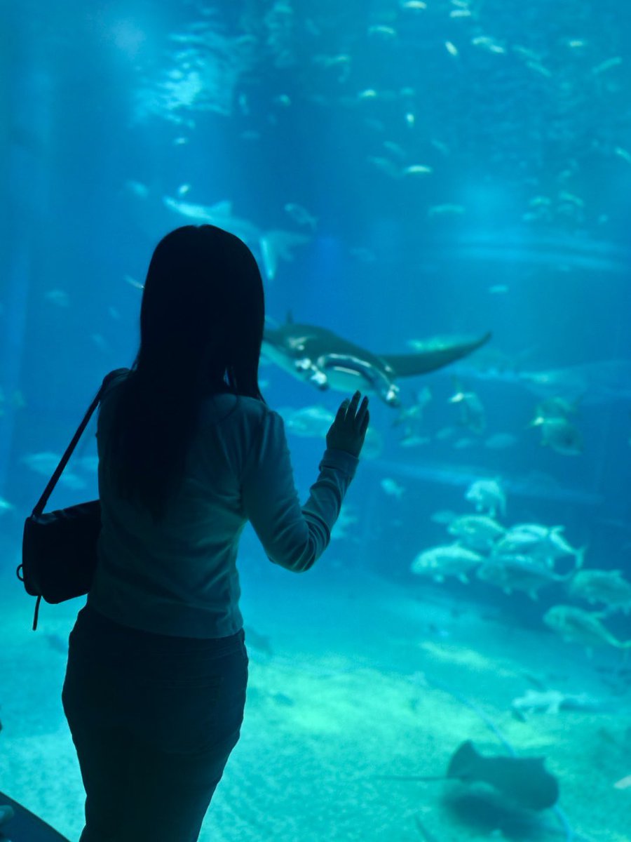 もふちゃん。 (@__mfo0) on Twitter photo 水族館行ってきたー🦭♡ 水族館行ってきたー🦭♡