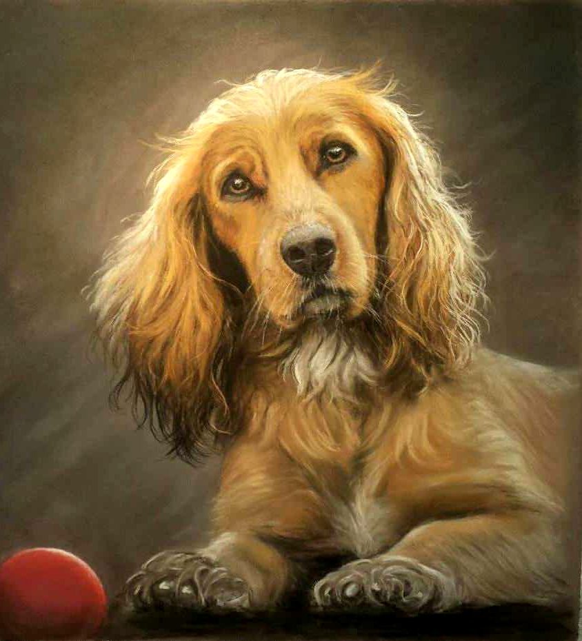 Battagliart's tweet image. 💕  My drawing of . . . " Is it playtime yet ? " 💖 . . . ( pastel pencil on a sanded ground ) 💕
#spaniel #dogs #dogsarefamily #pets #love #drawing