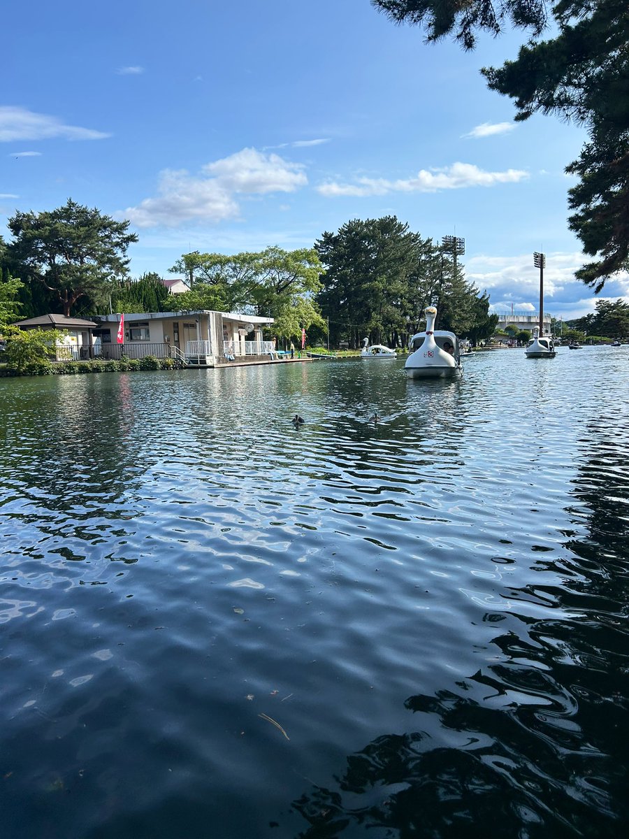 彼女とスワンボート漕いできた🪿🦆
帰りにケーキ屋さんとゲーセン寄って自炊してのんびりいい休日だった🙂‍↕️