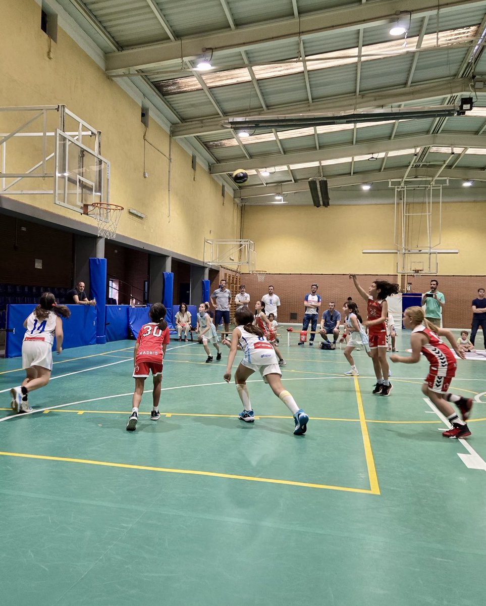 Baloncesto Buen Consejo tweet media