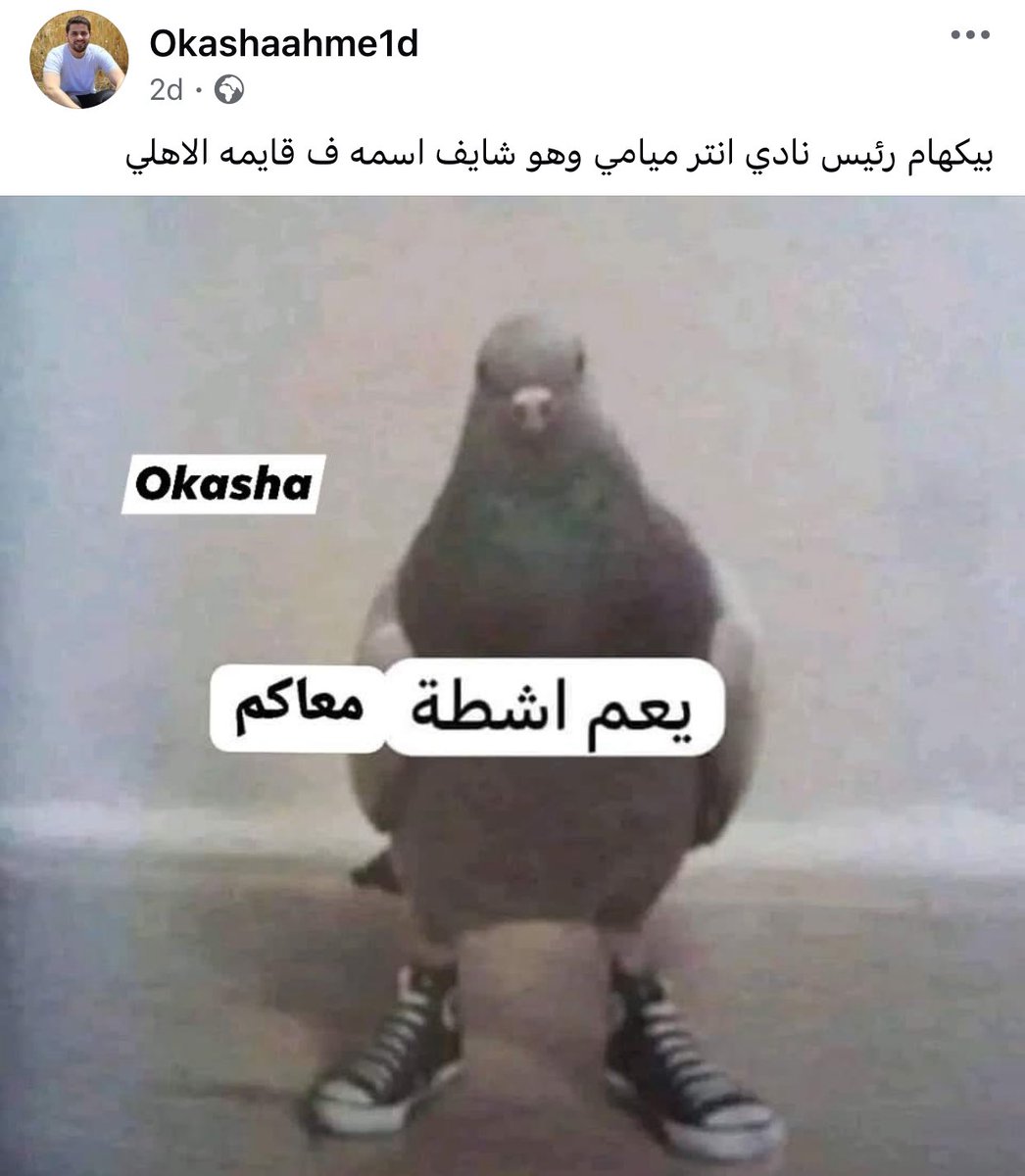 Mustafa Farhat (@acmustafamilan) on Twitter photo 