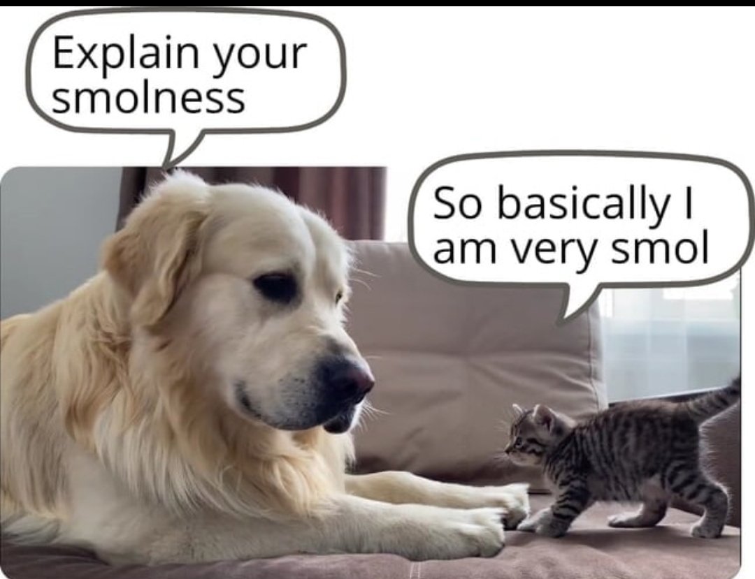 Smol