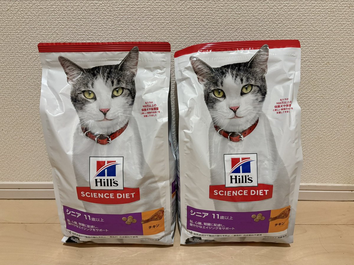 タメちゃん＆くまちゃん＆コサビちゃん🐈
目線が揃いませんでした〜残念〜😆

昨日さらにフードの寄付が2袋届きました。
本当にありがとうございます！