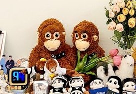 얘네 눈썹이 너무 웃기고 귀여웠어ㅋㅋㅋㅋ