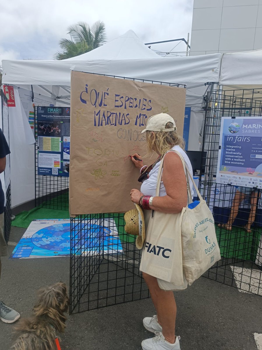 LifeWatchERIC's tweet image. 🦀🦞#day2 at #FIMAR2025🪼🐟🐙 for our #MarineSABRESfair!

🐟 Our colleagues Jesùs Padron Garcia and @Candycr_17  are ready to satisfy the curiosity of the many visitors who pass by our stand to learn more about the #marine #environment and @MarineSABRES  co-creation approach!