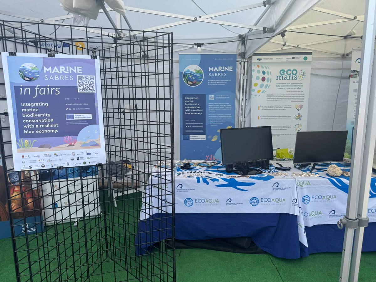 LifeWatchERIC's tweet image. 🦀🦞#day2 at #FIMAR2025🪼🐟🐙 for our #MarineSABRESfair!

🐟 Our colleagues Jesùs Padron Garcia and @Candycr_17  are ready to satisfy the curiosity of the many visitors who pass by our stand to learn more about the #marine #environment and @MarineSABRES  co-creation approach!
