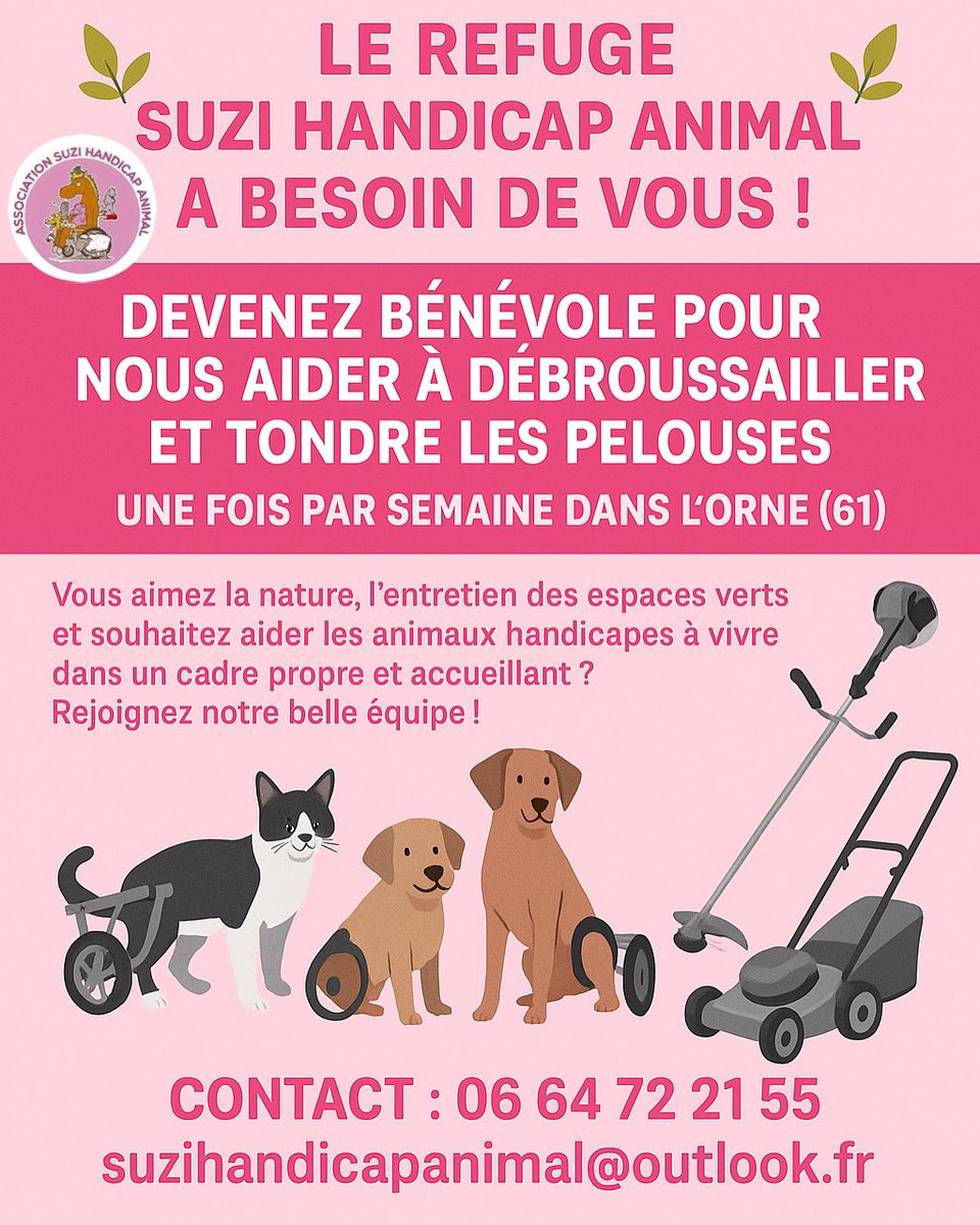 🌿🌿BÉNÉVOLAT 🌿🌿#benevolat #aide #refuge #suzi #suzihandicapanimal
