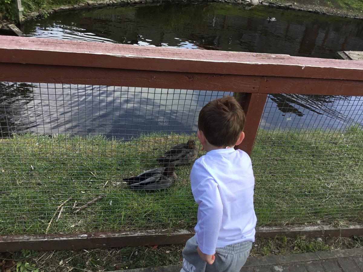 Almond Valley family fun.<a href="/EarlyYearsNLC/">Early Years NLC</a>