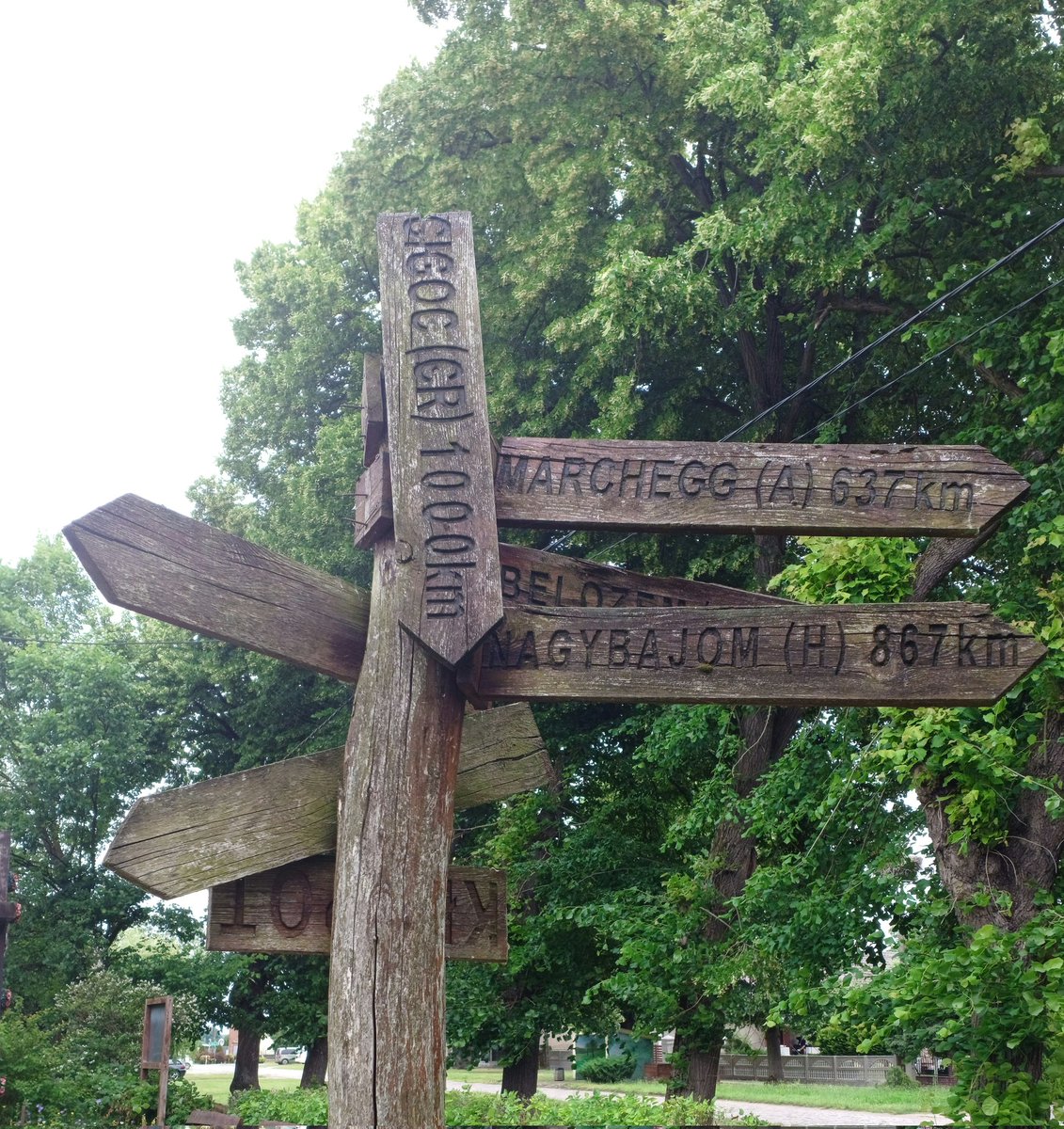 anna_rake's tweet image. Too many ways! Where should I go? 🤔