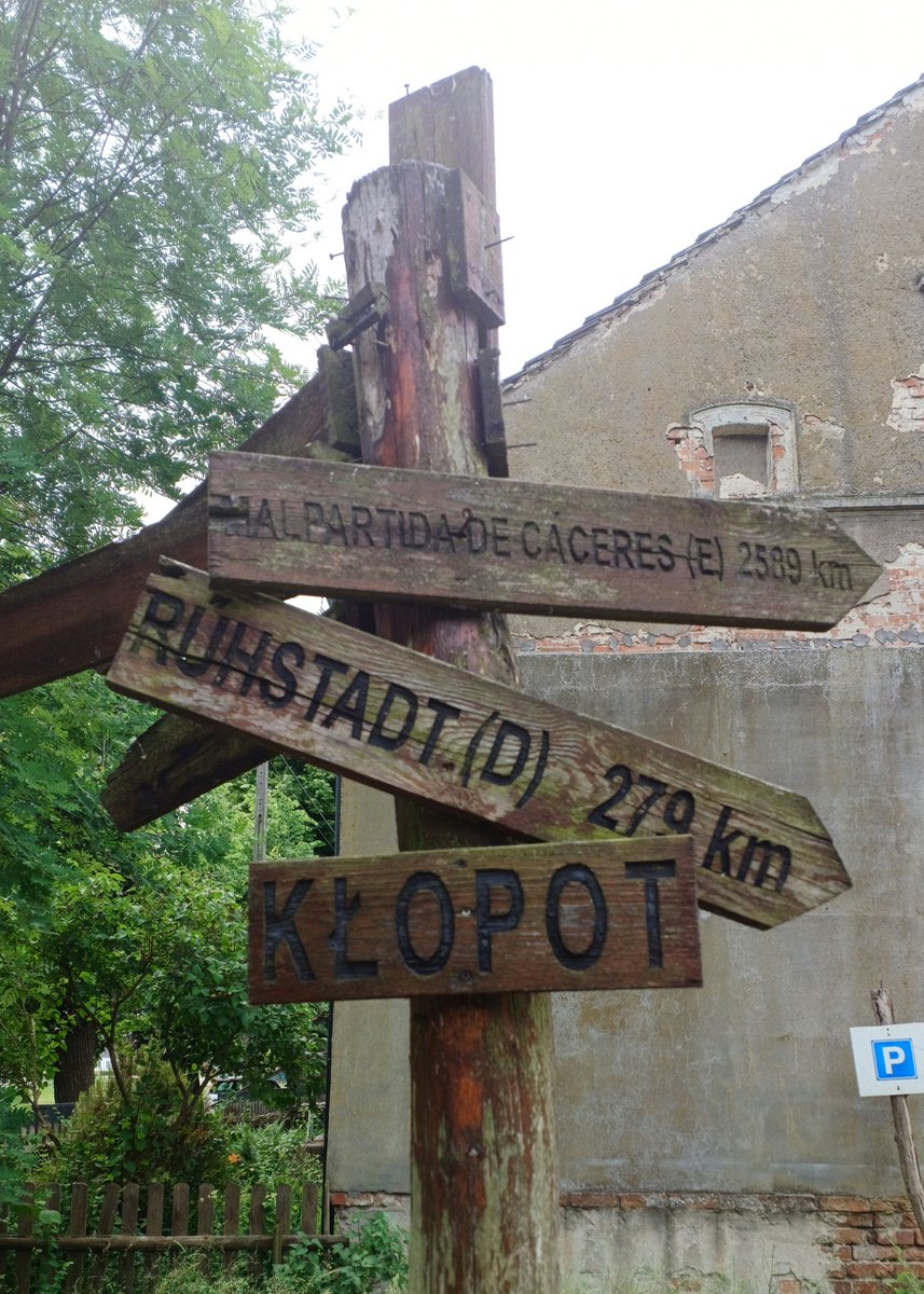 anna_rake's tweet image. Too many ways! Where should I go? 🤔