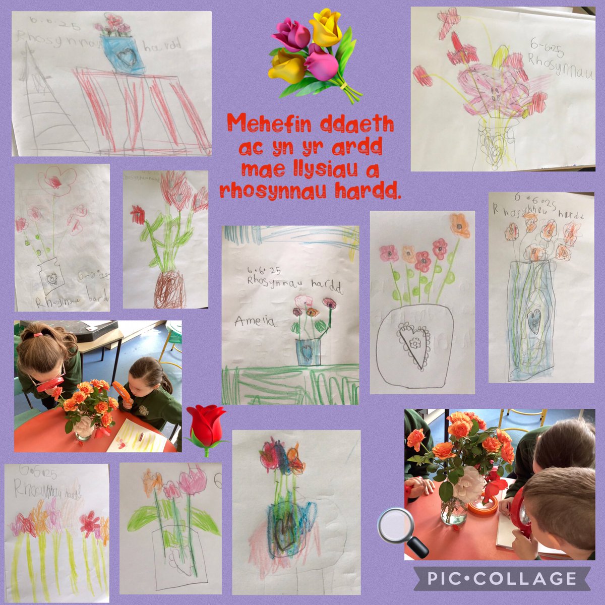 Dosbarth Mrs Walters (@mrswalters_ycs) on Twitter photo Arsylwi, arogli ac arlunio a gwerthuso ar y cyd er mwyn gwerthfawrogi ein doniau a gwybod sut i wella yn y dyfodol.🌟💐🔍🎨
Observing, smelling and drawing, evaluating together to celebrate our successes and understanding how to improve 🌹🖍️👏🏻🤔
<a href="/ysgolcynwydsant/">Ysgol Cynwyd Sant</a> #CelfyddydauYCS Arsylwi, arogli ac arlunio a gwerthuso ar y cyd er mwyn gwerthfawrogi ein doniau a gwybod sut i wella yn y dyfodol.🌟💐🔍🎨
Observing, smelling and drawing, evaluating together to celebrate our successes and understanding how to improve 🌹🖍️👏🏻🤔
<a href="/ysgolcynwydsant/">Ysgol Cynwyd Sant</a> #CelfyddydauYCS