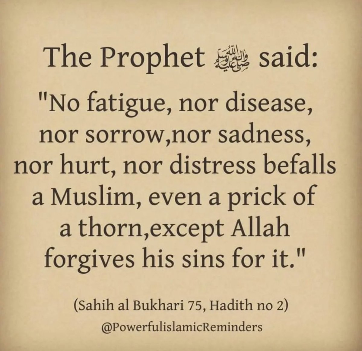 DrizzleBuzz's tweet image. 