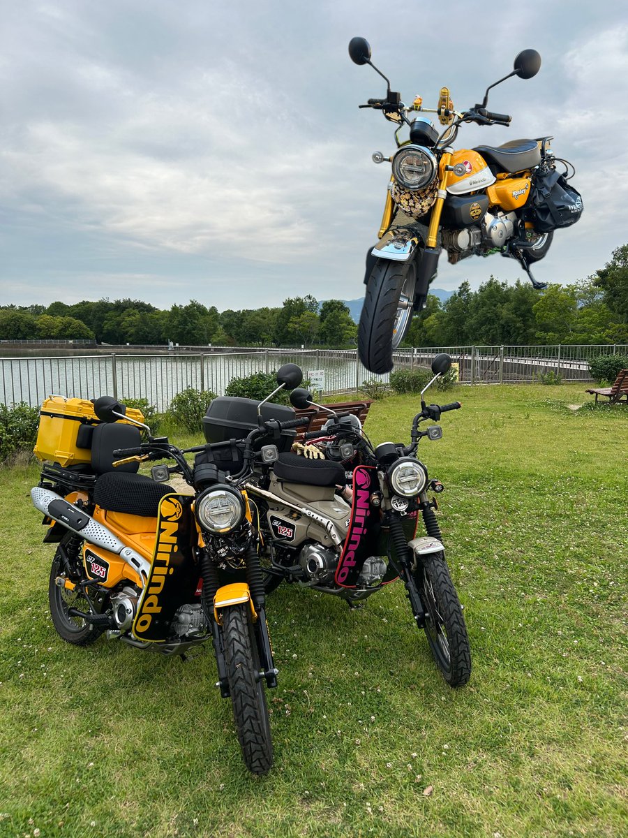 takeo🍜🐒🎶 (@takeo84405905) / Posts / X