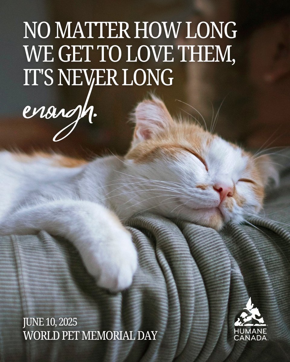 World Pet Memorial Day is this week—a time to honour the companions we’ve lost and the love they gave us. 🐾

Make a gift in their memory to help animals in need across Canada: humanecanada.akaraisin.com/ui/makeagift/d…

Their legacy can live on through your compassion. ❤️